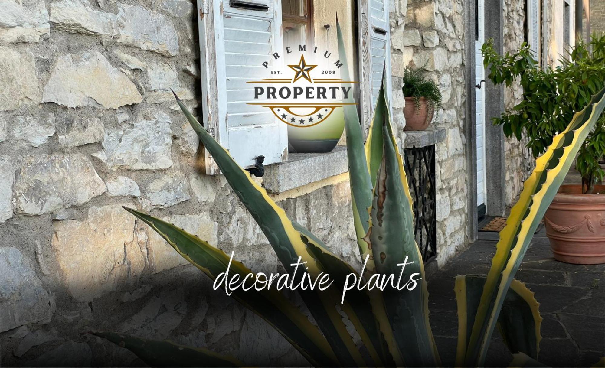Magnificent Sunstone House, Private Parking, Bbq Area, Kids Toys, Near Como Lake I Villa Dei Leoni Morbio Inferiore Exterior foto